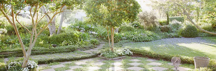 Greenscape Picture 9