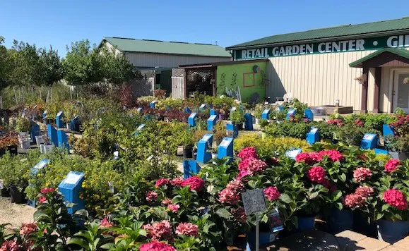 Scotty Landscape Supply Picture 1