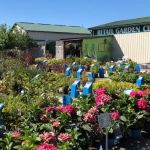 Scotty Landscape Supply