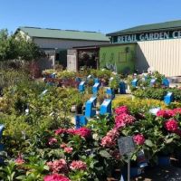 Scotty Landscape Supply ico