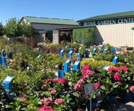 Scotty Landscape Supply