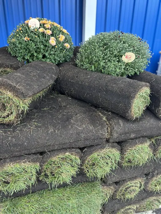 Scotty Landscape Supply Picture 10