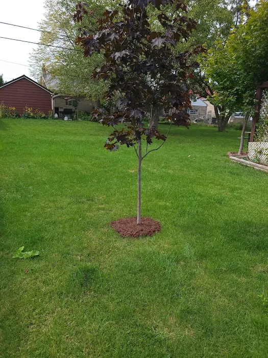 Adava Landscaping Picture 5