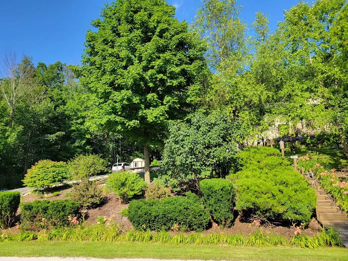 Adava Landscaping Picture 7