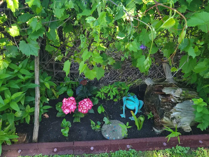 Adava Landscaping Picture 2