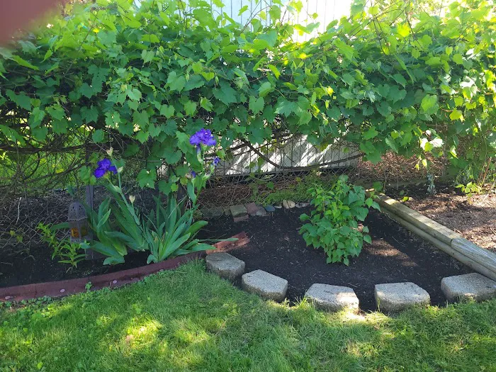 Adava Landscaping Picture 4