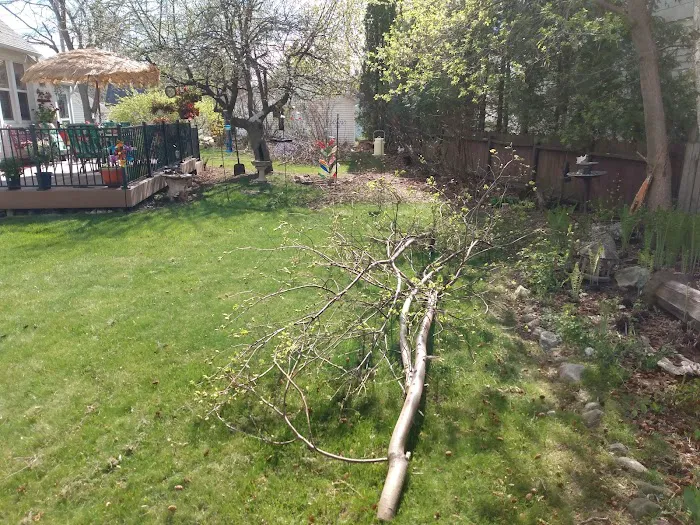 Nate's landscaping and snow removal Picture 4
