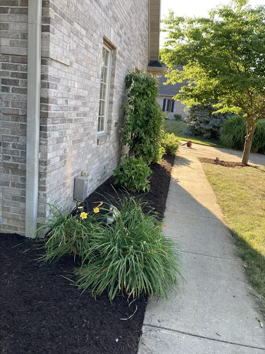 Green Kings Lawn Care Service Picture 7
