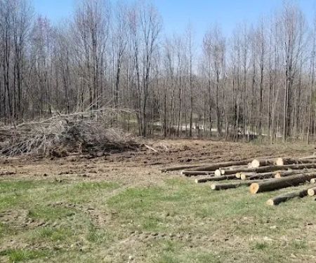 Romine Excavating and Septic