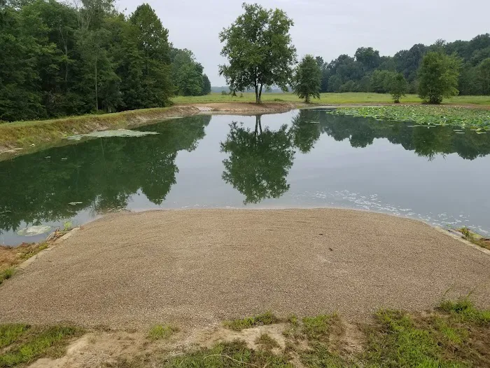Romine Excavating and Septic Picture 4