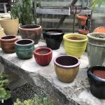 Patterson's Nursery