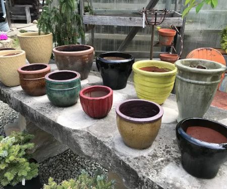 Patterson's Nursery