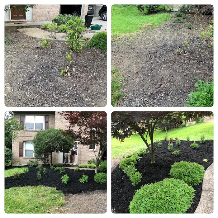 High-Cal Concrete and Landscaping Picture 9