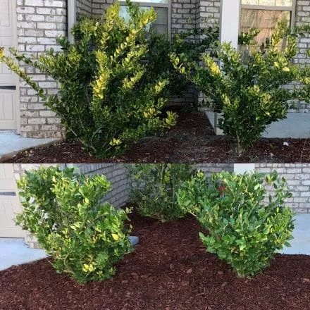 High-Cal Concrete and Landscaping Picture 1