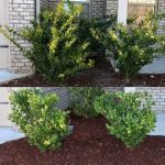 High-Cal Concrete and Landscaping
