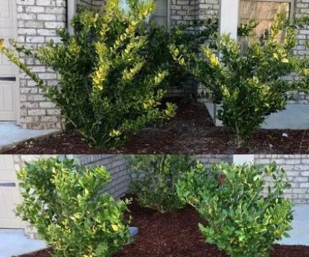 High-Cal Concrete and Landscaping
