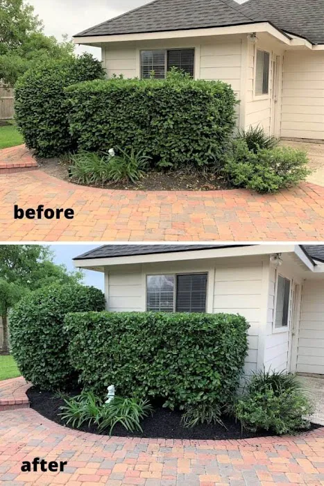 High-Cal Concrete and Landscaping Picture 5
