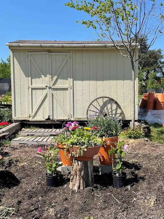 Kyle's Bermuda Triangle Landscaping LLC Picture 7