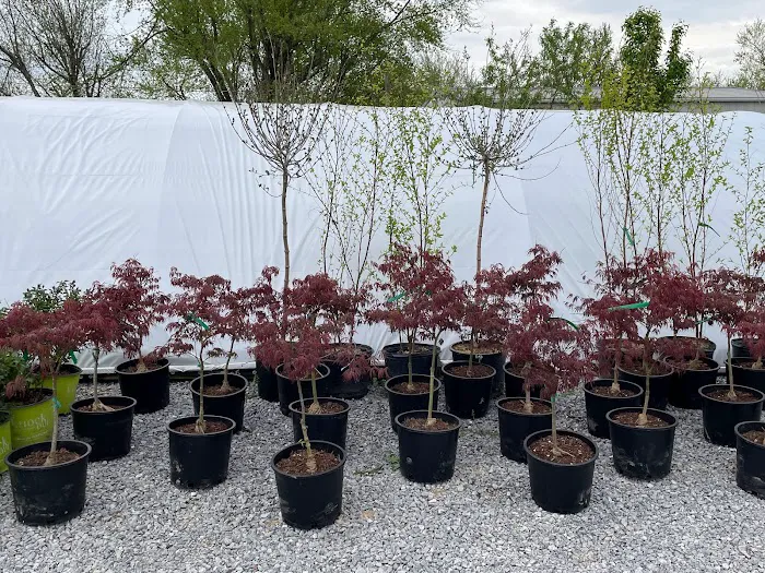Kyle's Bermuda Triangle Landscaping LLC Picture 10