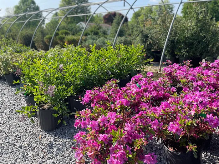 Kyle's Bermuda Triangle Landscaping LLC Picture 6