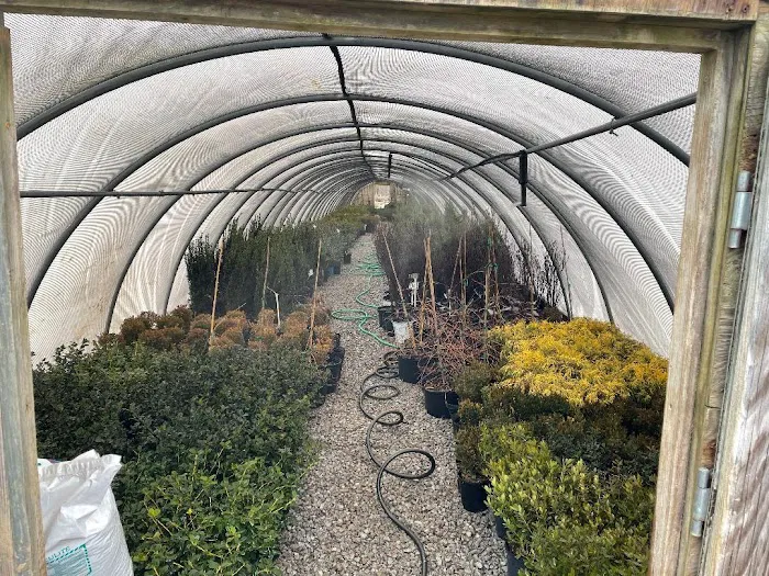 Kyle's Bermuda Triangle Landscaping LLC Picture 4