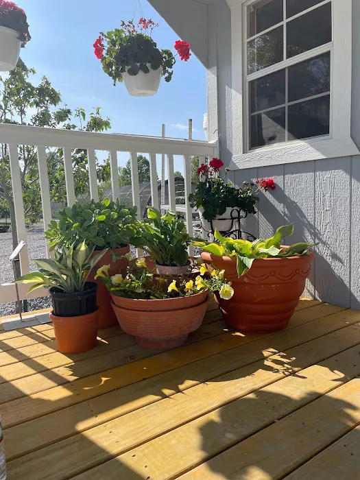 Kyle's Bermuda Triangle Landscaping LLC Picture 1