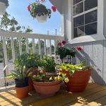 Kyle's Bermuda Triangle Landscaping LLC