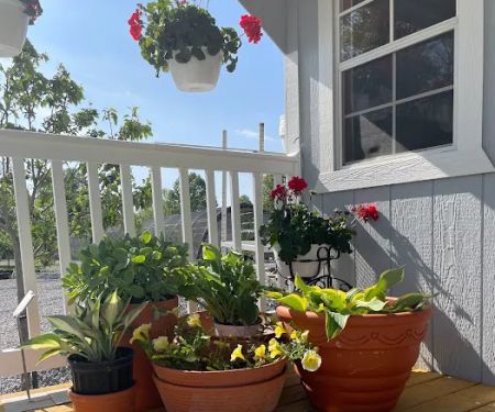 Kyle's Bermuda Triangle Landscaping LLC