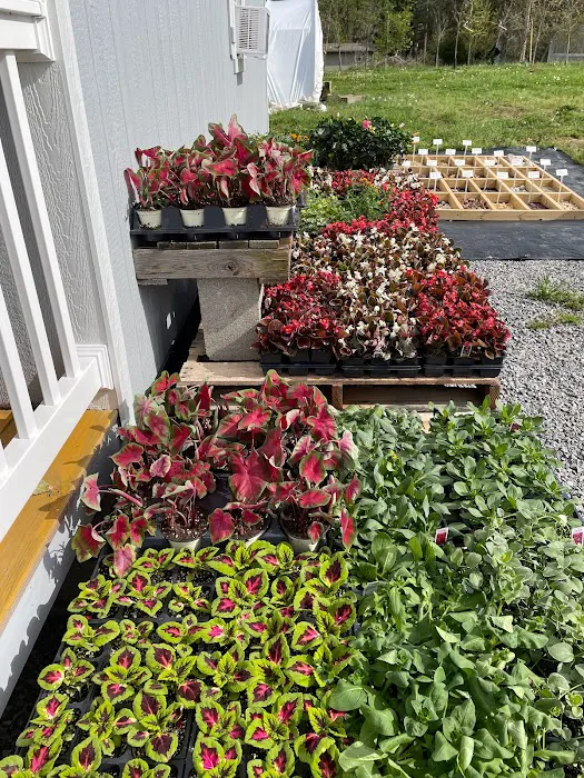 Kyle's Bermuda Triangle Landscaping LLC Picture 3