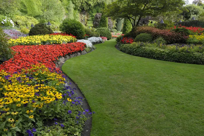 A+ Mowing And More Picture 1