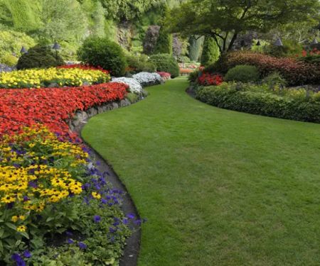 A+ Mowing And More