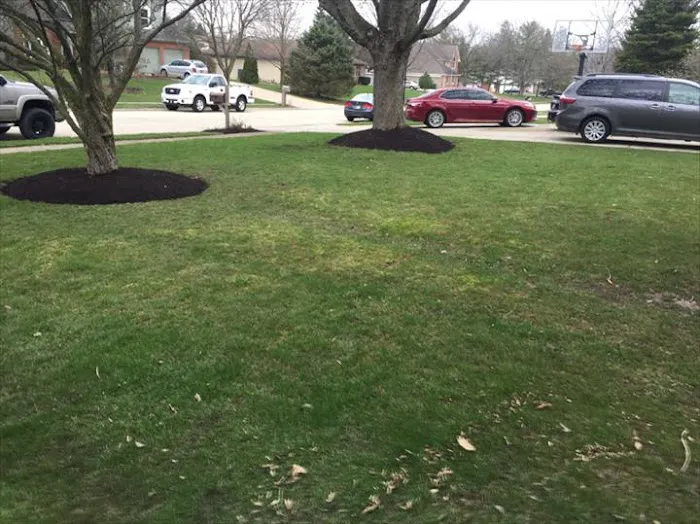 A+ Mowing And More Picture 3