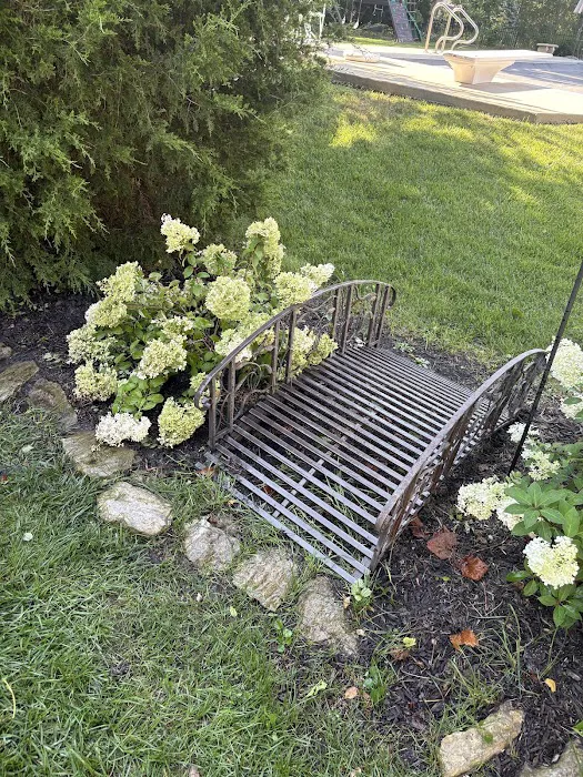 Greenspaces: Plant & Landscape Picture 7