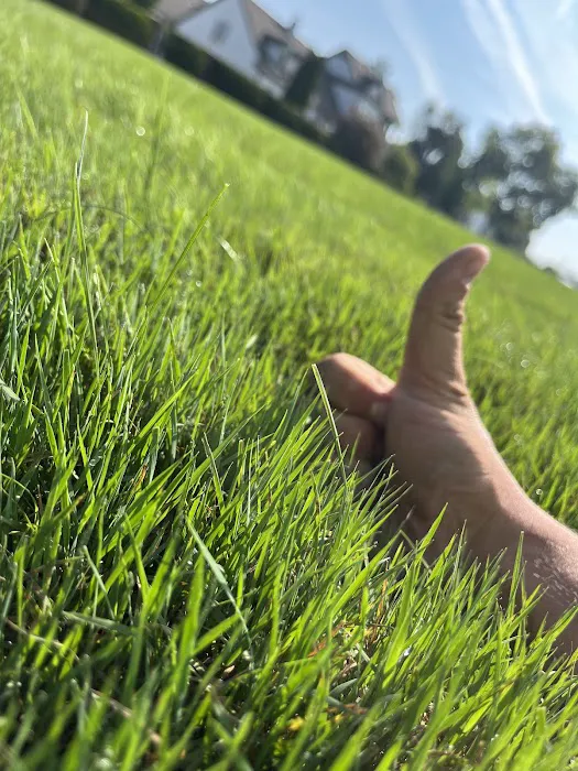 Greenspaces: Plant & Landscape Picture 2