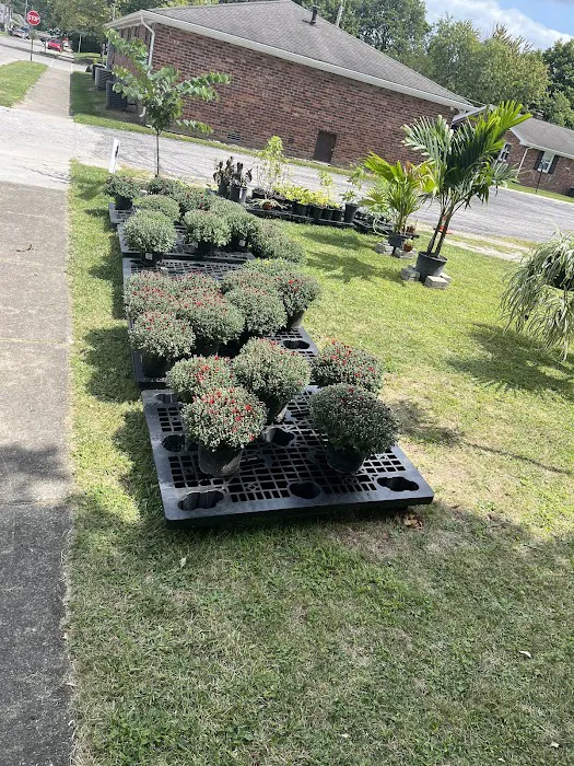 Greenspaces: Plant & Landscape Picture 6