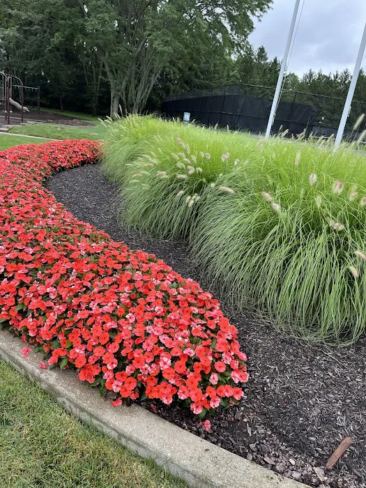 Greenspaces: Plant & Landscape Picture 4