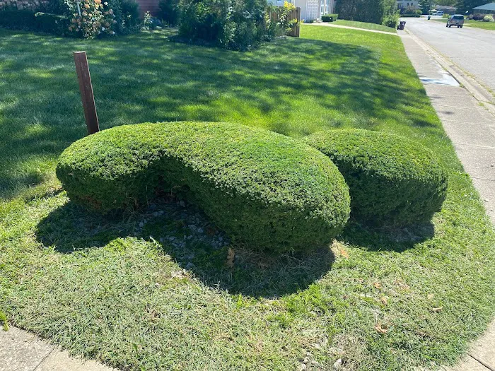 Lawns to Impress Picture 9