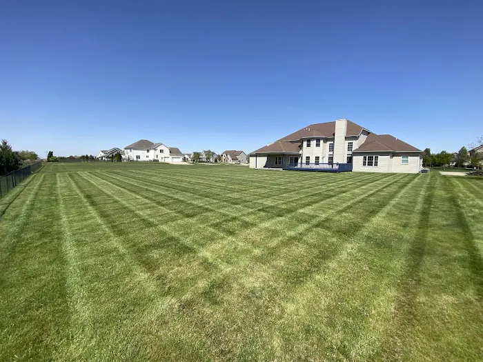 Lawns to Impress Picture 2