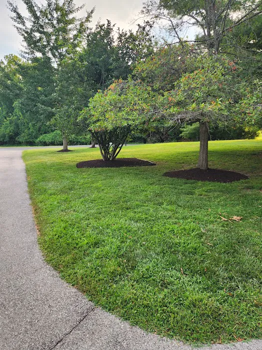CTC Landscaping LLC Picture 4