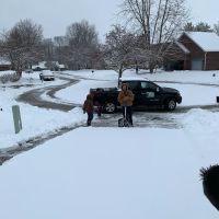 Juan company Landscaping service ico