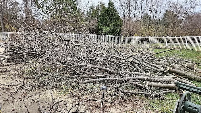 Donn's tree Service Picture 1