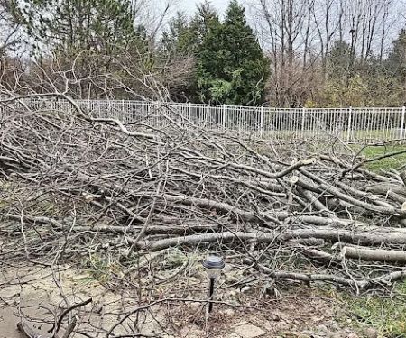 Donn's tree Service