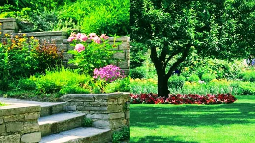 Greenside Lawn and Landscape Picture 2