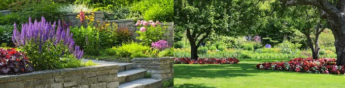Greenside Lawn and Landscape Picture 4