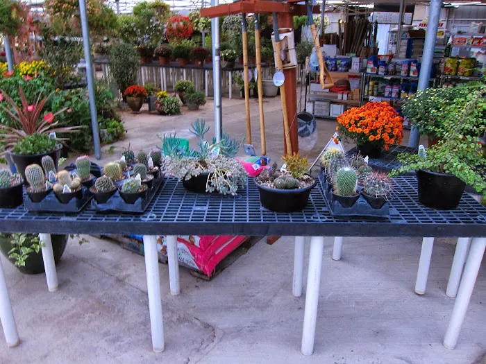 Hindley Nursery & Stoneyard Picture 1