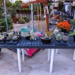 Hindley Nursery & Stoneyard
