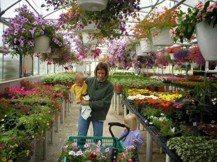Hindley Nursery & Stoneyard Picture 2