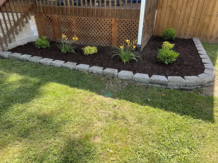 TrueCare Landscaping LLC Picture 5