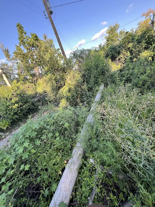 TrueCare Landscaping LLC Picture 2