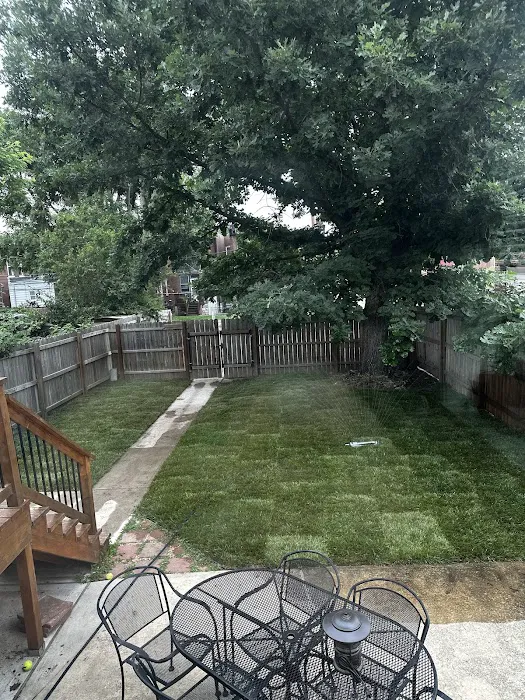 TrueCare Landscaping LLC Picture 1